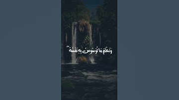 الشيخ المنشاوي يغرد 🌿 سورة ق 🌺