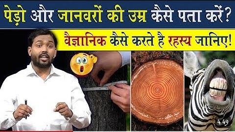 किसी भी पेड़ की उम्र ऐसे पता करें || How to know the age of any tree 🌳#khansir #khansirpatna
