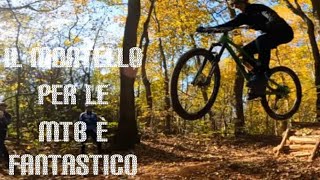 MTB Montello in compagnia: Lele, Gongolo, Snake, Contadinasso, Jump Line, Elk Line !