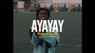 Prince Carly - [Ayayay] video visualizer