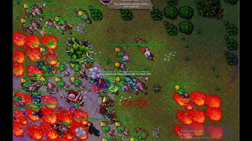 🔴 Tibia PVP & PVE Live Stream