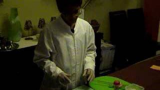 6th Da Vinci Science Experiment Video - St. George&#39;s College - 2009