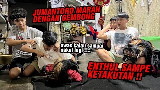 GARA-GARA GAK IKUT PENTAS GEMBONG MARAH !! Jumantoro langsung turun tangan..