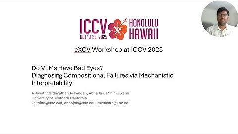 Do VLMs Have Bad Eyes? | eXCV Workshop at ICCV 2025