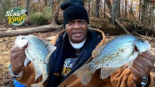 Catching LOADS of Fall Crappie from the Bank!