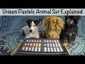 Unison Pastels Animal Set Explained