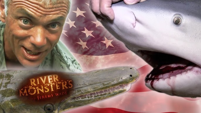 Catching Fish With Only A Spider Web & Kite, SPECIAL EPISODE!, River  Monsters, Have you ever tried to fish with no hook and no rod?  #RiverMonsters #JeremyWade #NeedleFish