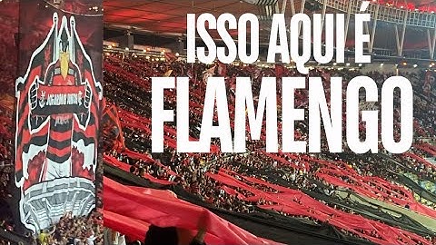 FLAMENGO AMASSA O PALMEIRAS! 2X0 !! VEJA O SHOW DA TORCIDA!