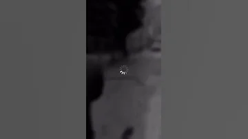 ستوري انستا تمايل ياحلاته ومره شفته بدون حقوق 