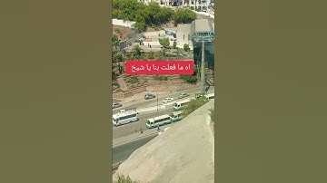 ايات من القرآن الكريم لحفيظة الشيخ ساعد الغامدي #الجزائر #المصحف #تيك_توك