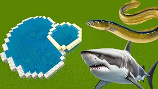 How To Make a GREAT WHITE SHARK &amp; ELECTRIC EEL Farm in MCPE