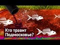 Экологическая катастрофа в Подмосковье