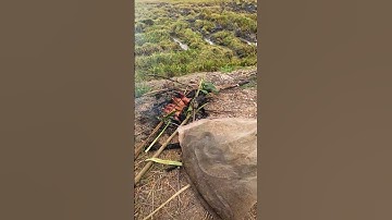 Bắt chuột rắn cá theo máy cắt #shots