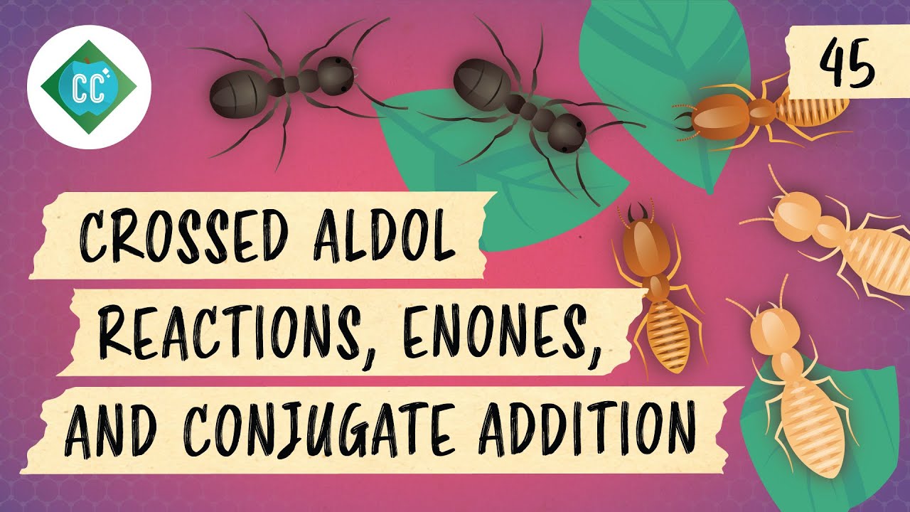 Crossed Aldol Reactions, Enones, and Conjugate Addition: Crash Course Organic Chemistry #45