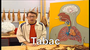 Quelle est la Loïe sur le tabac ?