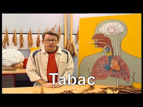 Vidéo: Impacts épigénétiques De L'exposition Maternelle Au Tabac Et Aux Vapeurs électroniques Sur Le Poumon De La Progéniture