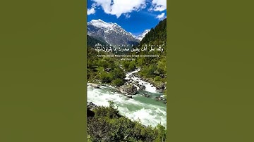 ( انا كفيناك المستهزئين) سوره الحجر الشيخ اسلام صبحي