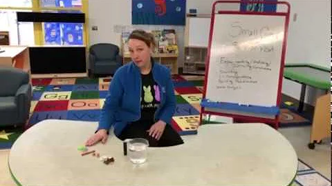 Julie Sink and Float