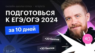 Отправь экзамены в НОКАУТ | Презентация 2024 | CОТКА