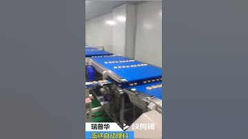 Swiss Roll layer cake Chocolate bar package machine solutions flow wrap pack wrapper Machinery