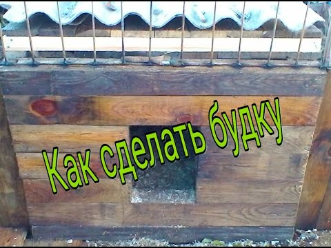Как правильно сделать утеплённую будку для собаки