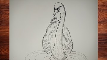 How to draw a Swan step by step (very easy) || Art video.