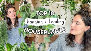 More AMAZING Hanging + Trailing Houseplants  Best Hanging Plants PART 2