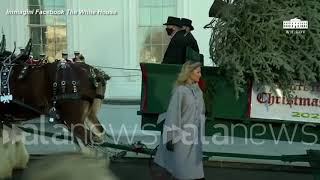 Melania Trump Riceve Lultimo Albero Di Natale Alla Casa Bianca