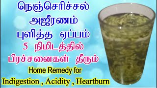 Home Remedies For Indigestion Tamil | Ajeernam Serimana Prachanai Pulicha Eppam Remedy | Acid Reflux