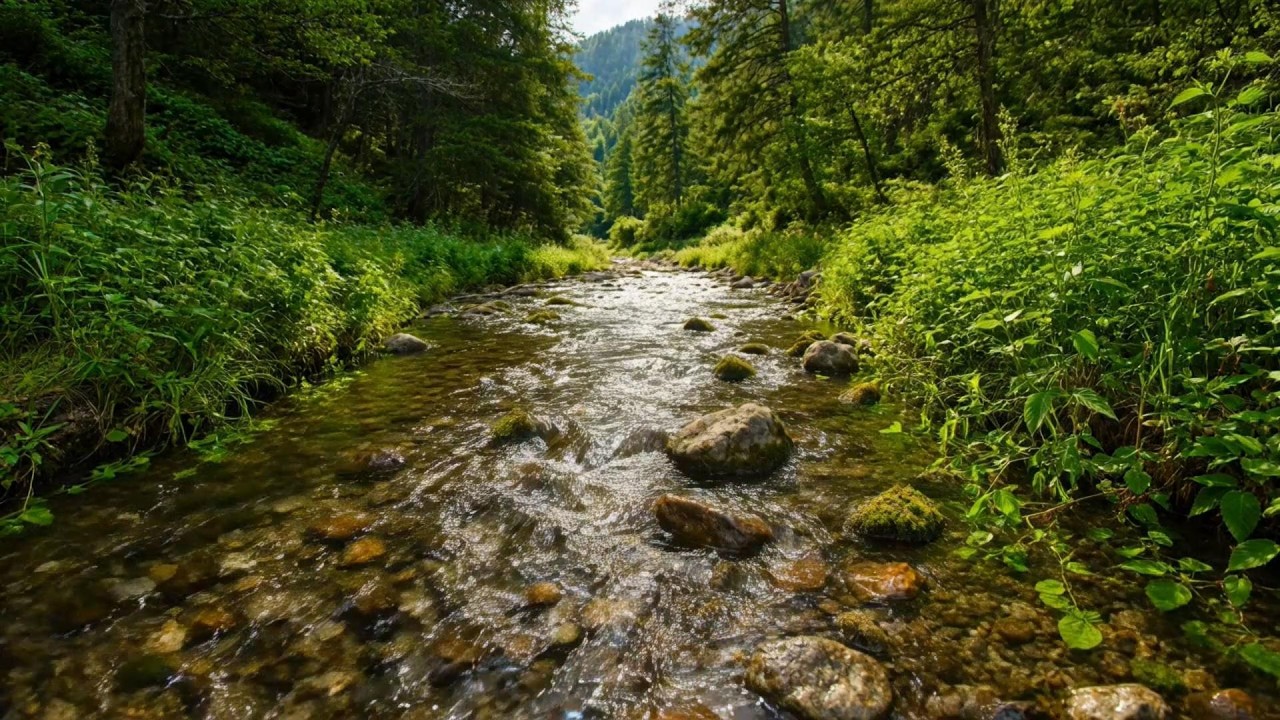 Silent Flow State: Atmospheric Sounds for Laser Focus