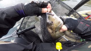 Fishing for Bream with soft plastics