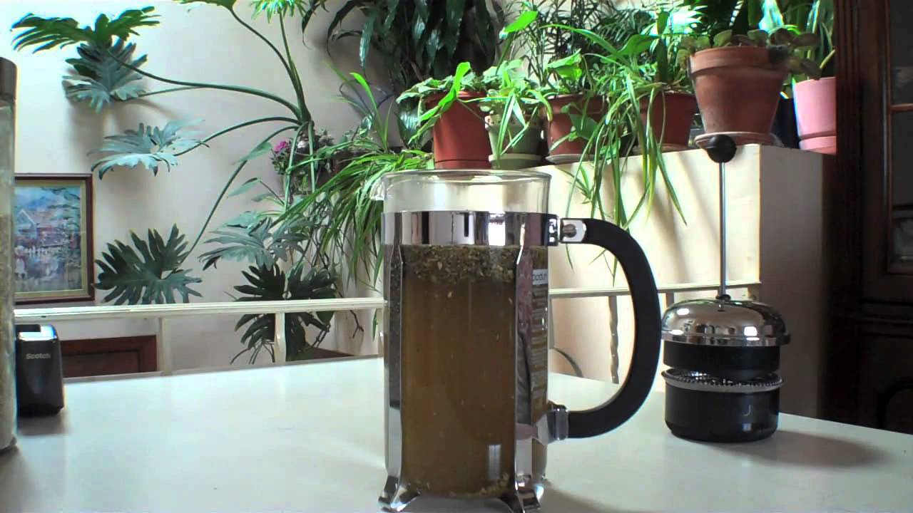 How To Make Yerba Mate With A French Press