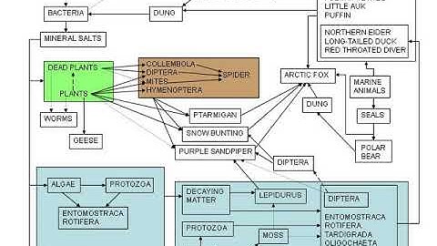 Computational biomodeling | Wikipedia audio article
