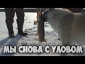 Весенняя рыбалка на щуку и налима.Мы снова с уловом!Рыбалка на озере,снимаем улов с донок и жерлиц.