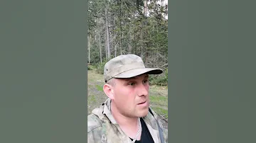 Грибочки #shorts