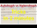 Autotrophs And Heterotrophs In The Ecosystem