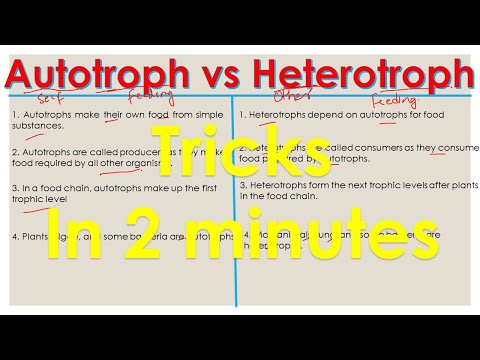 Autotrophs vs Heterotrophs | difference between autotrophs and heterotrophs |