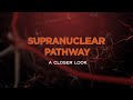 Supranuclear pathway a closer look  ascrs film festival 2020  dr ashvin agarwal