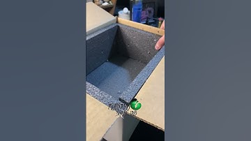 🐍Some Have to Go🧪 #molinarosnakelab #ballpython #royalpython #petsnake #snakebreeder #snakeguy