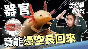 狙擊殭屍細胞的妙計！這樣上班等於加薪15%？【泛科學NEWS EP38】