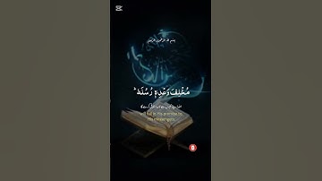 #الله #قرآن #تلاوات #قرآن_كريم #تلاوة_خاشعة #فيديوهات #اللهم_صل_وسلم_على_نبينا_محمد #