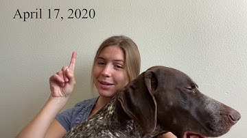 Media Authoring Project 2