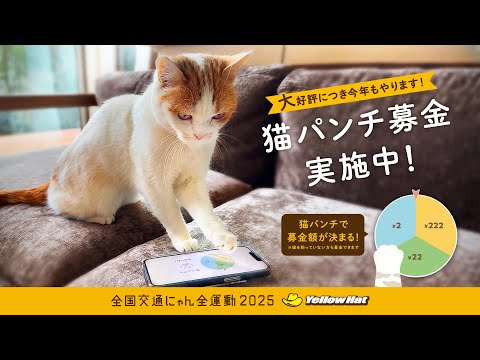 ネコ 猫パンチ募金 TVCM（30秒）～イエローハット全国交通にゃん全