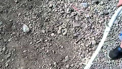 Two alpine type r 12s in ranger! flex