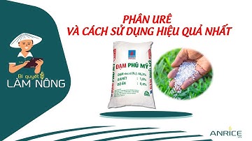 PHÂN URE VÀ CÁCH SỬ DỤNG HIỆU QUẢ