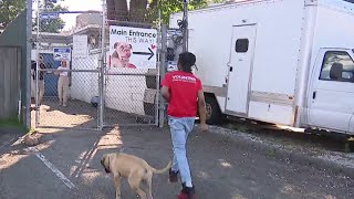 Anti-gun violence initiative pairs teens with DC animal shelter | NBC4 Washington