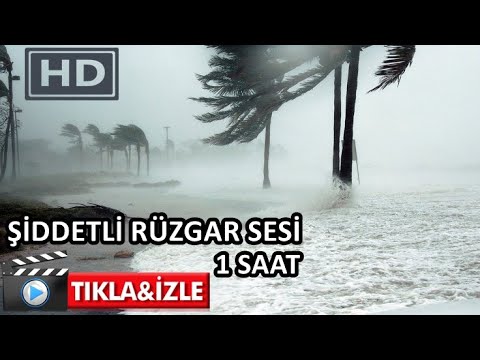 Şiddetli Rüzgar Sesi