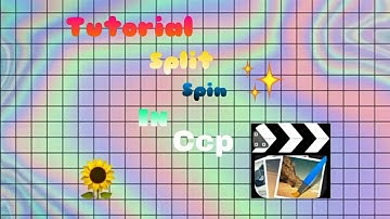 Tutorial Split Spin (ccp) 🐰✨