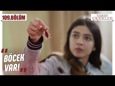 Kızlardan Defne’ye böcek şakası! - Kırgın Çiçekler 109.Bölüm