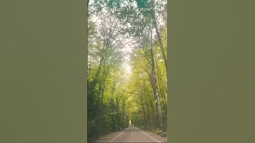 Thumbnail of A fall song, a journey into a story